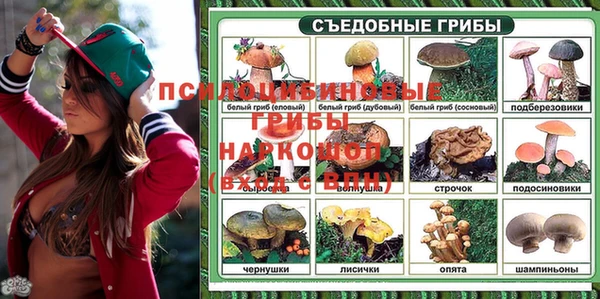 таблы Коряжма