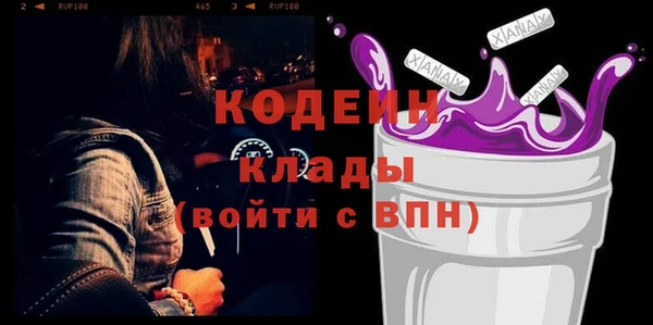хмурый Корсаков