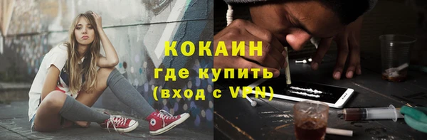сатива Алагир