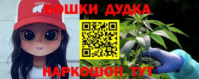 apvp Кингисепп