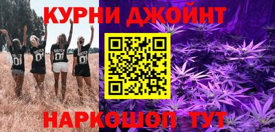 apvp Кингисепп