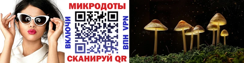 блэк спрут   Новоуральск  Псилоцибиновые грибы Psilocybine cubensis  даркнет сайт 