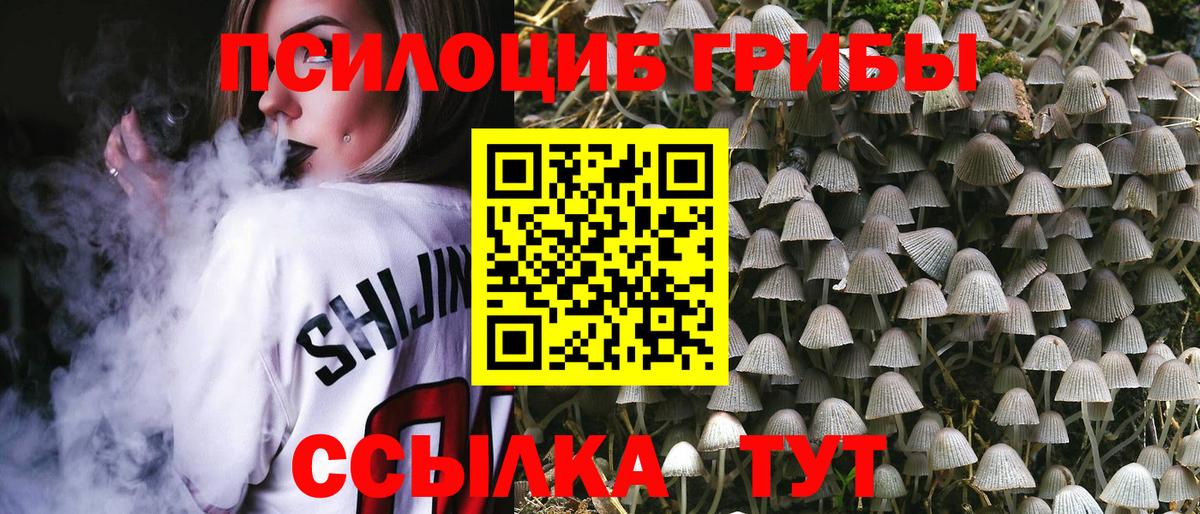 Галлюциногенные грибы прущие грибы  Псилоцибиновые грибы MAGIC MUSHROOMS  Новоуральск  Вход с VPN 